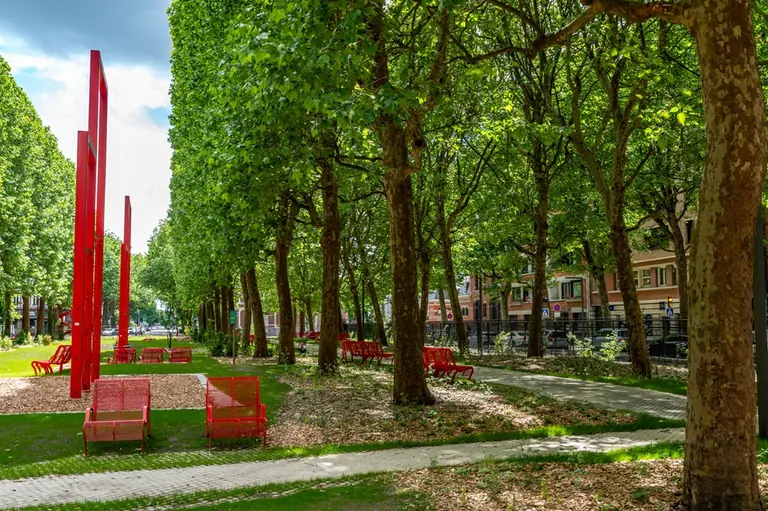 À Lille, une place minérale devient parc de quartier