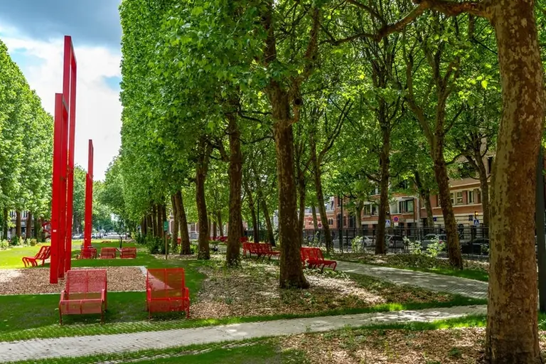 À Lille, une place minérale devient parc de quartier