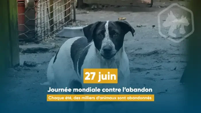 À Lyon, partir sans abandonner son animal cet été