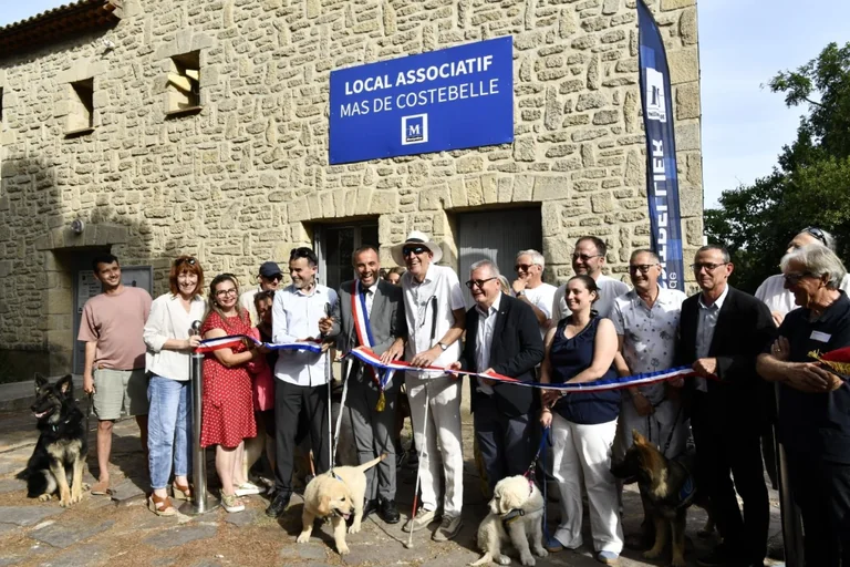 À Montpellier, des chiens formés pour guider plus près