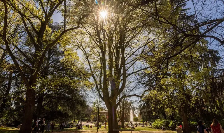 À Toulouse, les sorties au parc stoppées par le vent