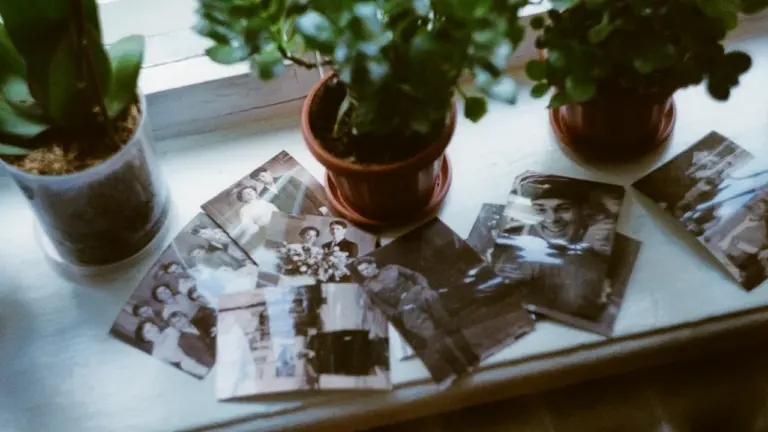 Photos de famille vintage posées sur un rebord de fenêtre avec des plantes.