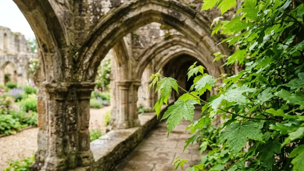 Arches en pierre d'une ancienne abbaye bordant un jardin verdoyant et feuillu.