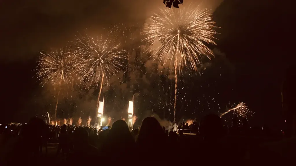 Feu d'artifice illuminant le ciel nocturne au-dessus de la baie de Cannes.