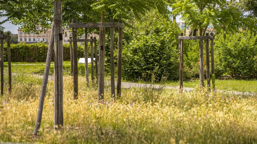Un parc verdoyant avec des arbres et une pelouse en centre-ville en France.