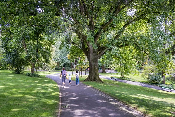 À Angers, un délai court pour peser sur deux parcs: ce qu'il faut retenir