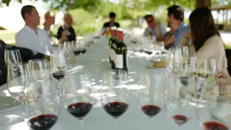 Un groupe de personnes partageant un moment convivial autour de verres de vin.
