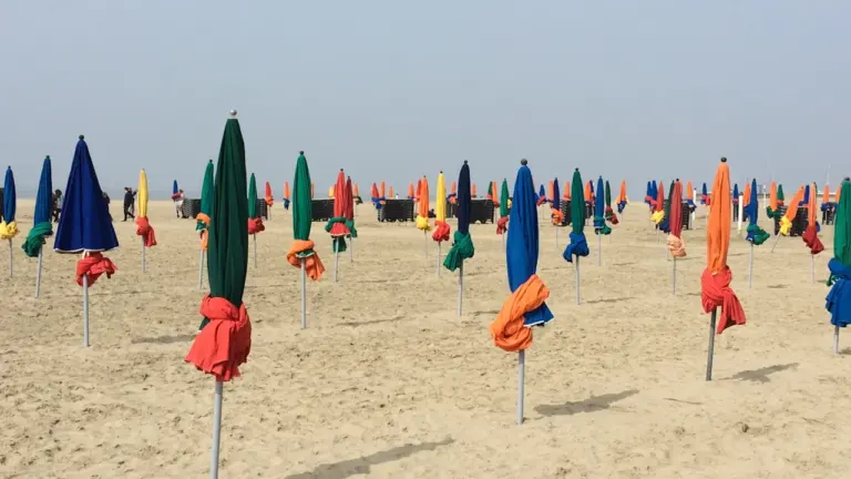 À Cherbourg, les Parasols gratuits arrivent à Mandela