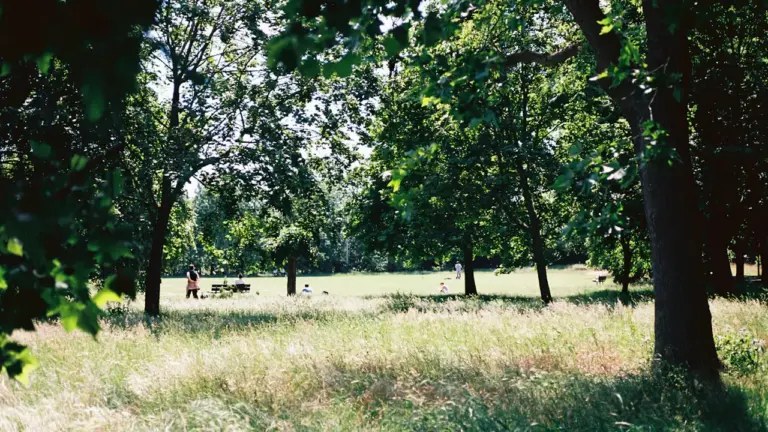 À Compiègne, l’été gratuit s’installe au parc