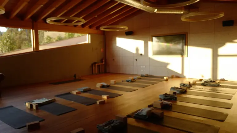 Une salle de sport spacieuse avec des tapis de yoga alignés au sol.