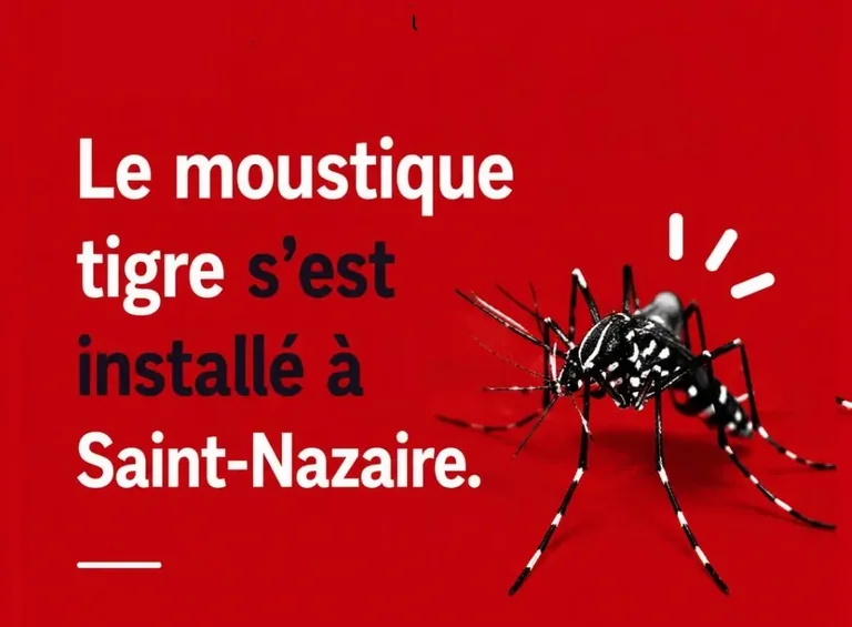 À Saint-Nazaire, les bons gestes contre deux invasifs