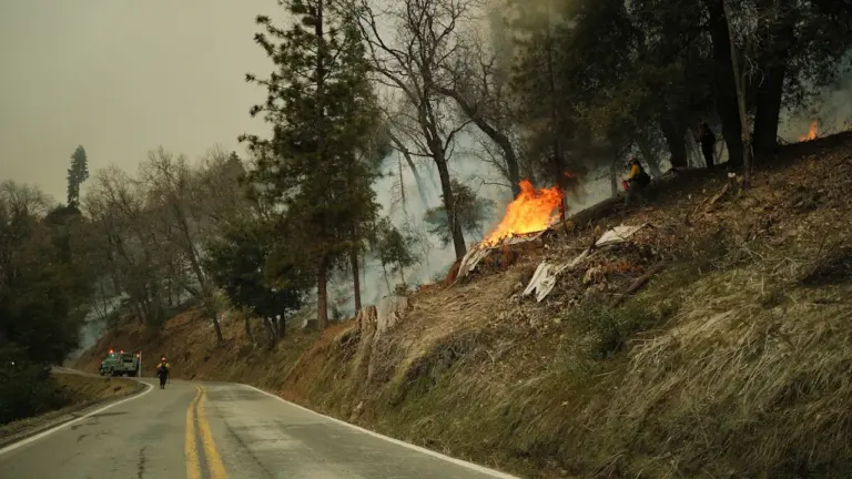À Saint-Sébastien, le geste des enfants face aux incendies
