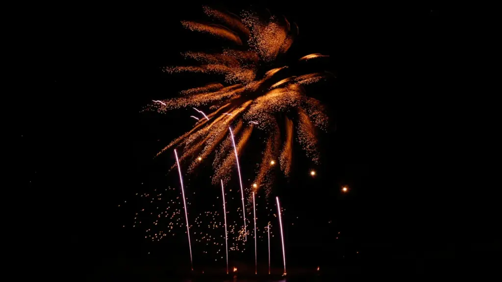 Feux d'artifice éclatants illuminant le ciel nocturne pour la fête nationale à Toulouse.
