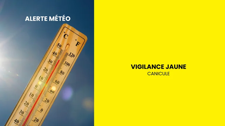 Canicule à Champigny : les gestes à adopter dès maintenant