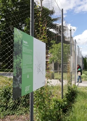 Ex(s)istere à Saint-Étienne : 14 plantes en accès libre: jouerparler.fr