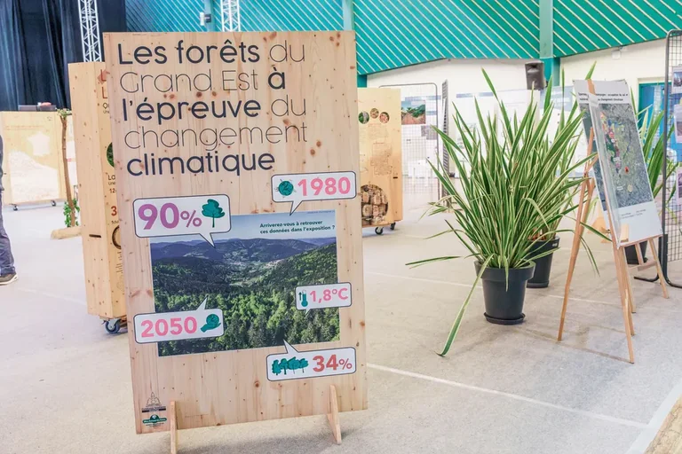 Forêts du Grand Est à Metz : un mois face au climat