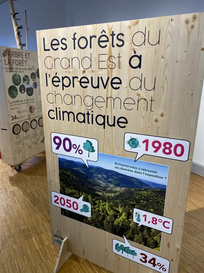 Forêts du Grand Est à Metz : un mois face au climat
