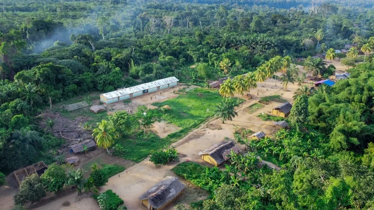 Immersion dans le Bassin du Congo : une projection gratuite à Nice