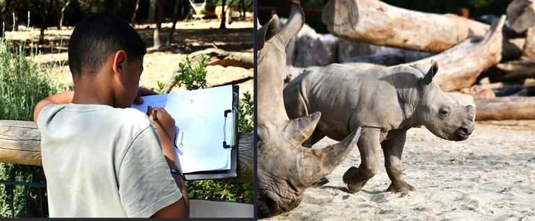 Montpellier: dernier mois gratuit au zoo avant travaux