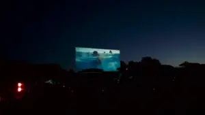 Projection de film en plein air sous un ciel nocturne étoilé à Droyes.