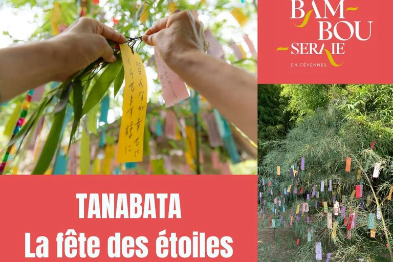 Tanabata à Générargues : vœux et origami le 7 juillet