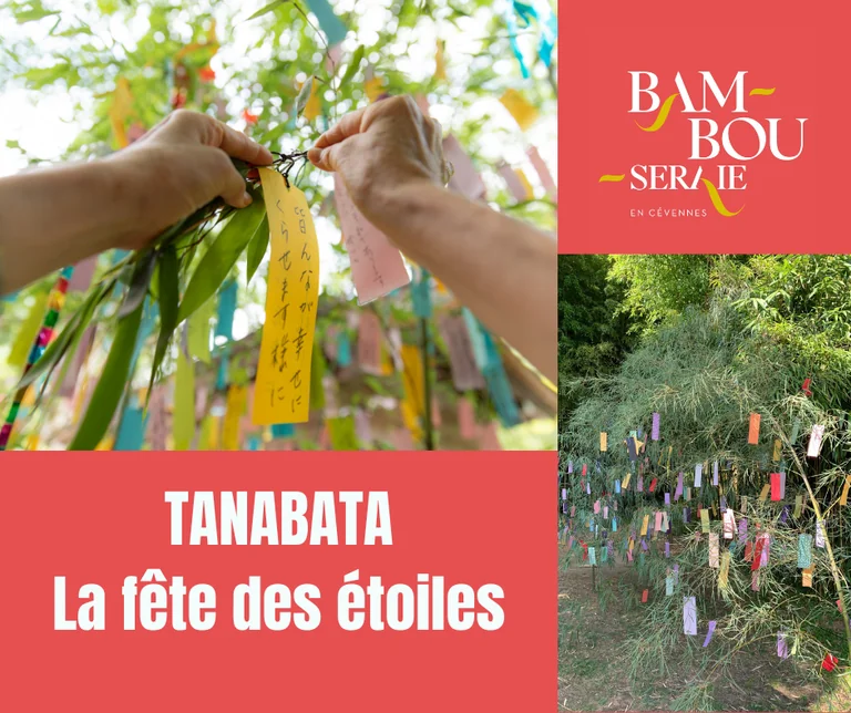 Tanabata à Générargues : vœux et origami le 7 juillet