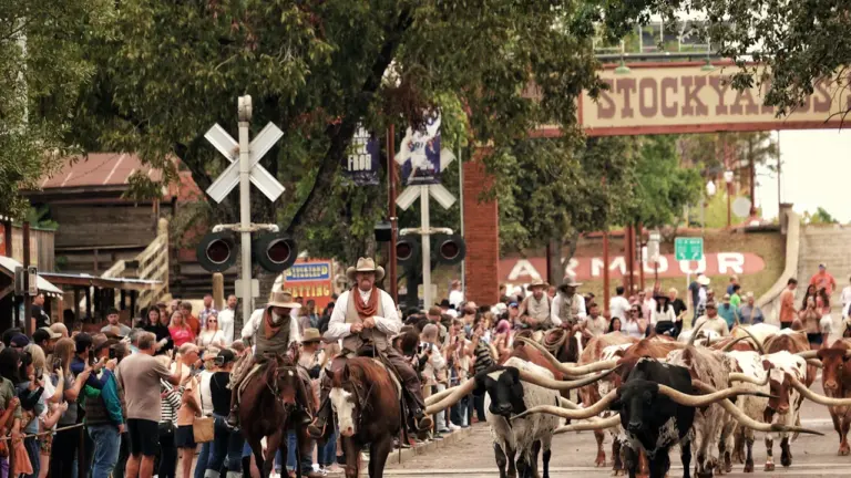 Un été à Ermont : Far West gratuit le 22 juillet