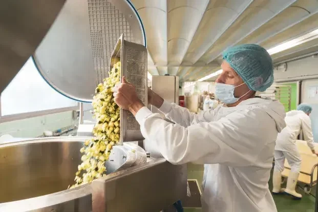 À Bordeaux, les repas des écoliers commencent à 4 h 30