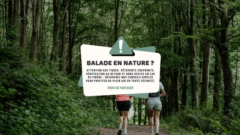 À Coutances, les balades exigent un réflexe anti-tiques