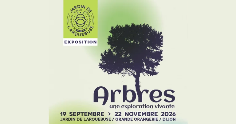 À Dijon, une forêt à explorer prend racine à l’Arquebuse