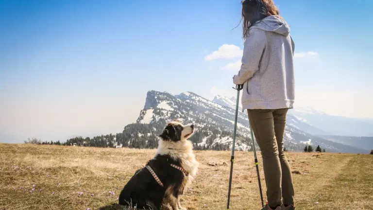 Une randonneuse et son chien dans les montagnes françaises sous un ciel ensoleillé.