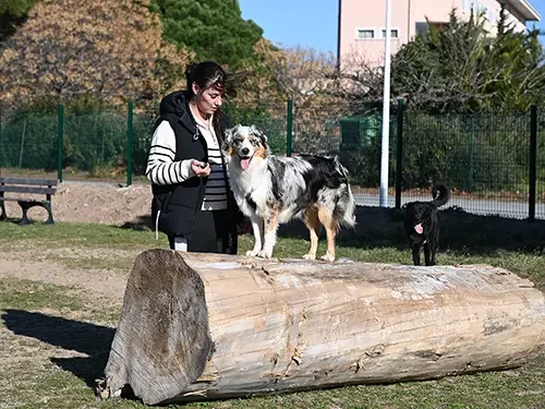 À Fréjus, les maîtres de chiens sous contrôle