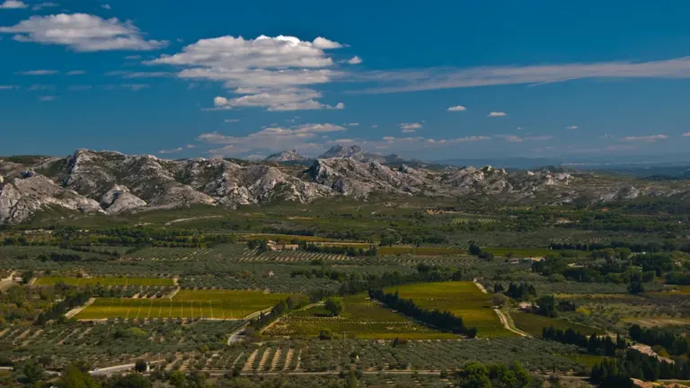 Paysage méditerranéen avec champs verts et montagnes en arrière-plan à Mougins.
