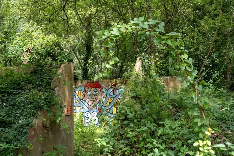 À Rennes, un parc sauvage prépare ses créatures