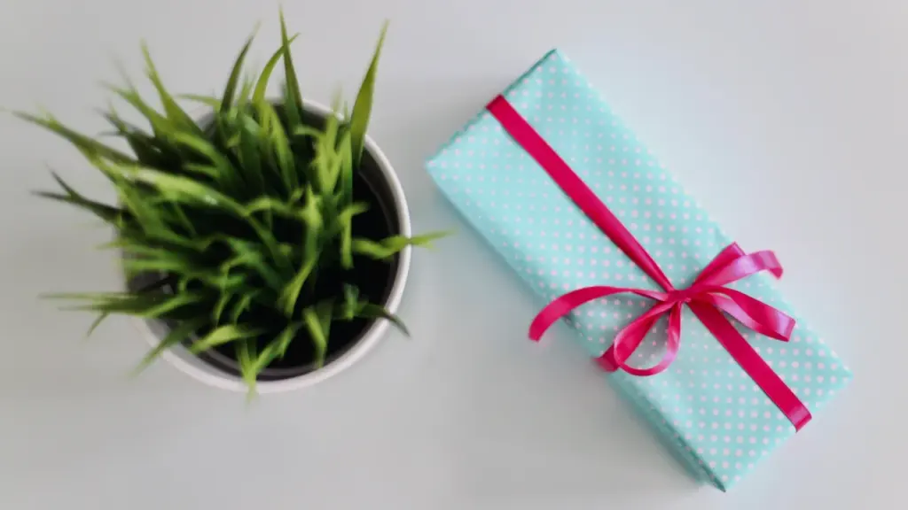 Un coffret cadeau élégant posé près d'une plante verte sur une table claire.