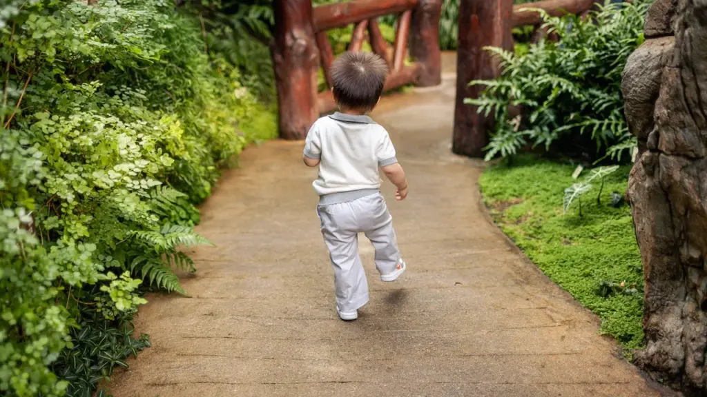 Un jeune enfant marche le long d'un sentier verdoyant au Jardin de l'Arquebuse.