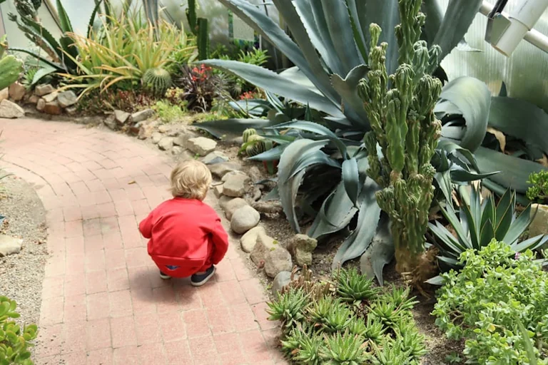 Dijon : une journée nature pour les tout-petits à l'Arquebuse