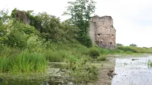 Ruines d'une tour de château en pierre bordant un étang entouré d'une végétation dense.