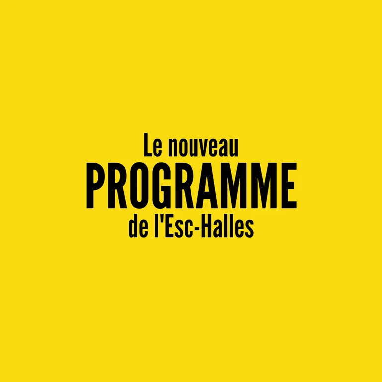 Patrimoine et lien social : une journée d'échanges à Avranches