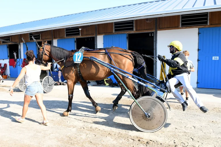 Près de Saint-Nazaire, l’hippodrome comble pour ses 120 ans