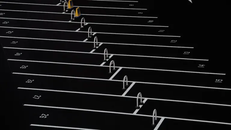 Lignes de stationnement au sol marquées sur une rue urbaine en France.