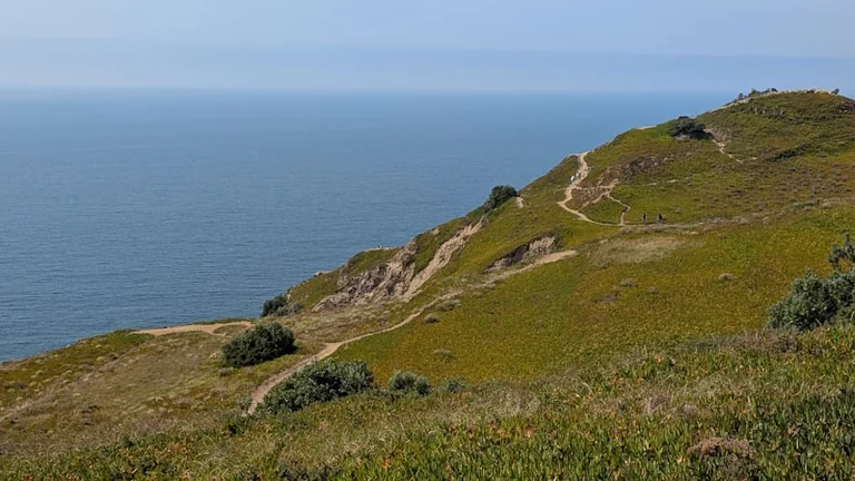 À Hyères, le sentier du Niel retrouve ses promeneurs
