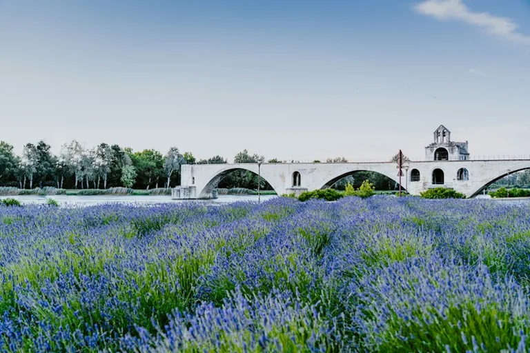 Avignon : la culture provençale s'empare de la ville pendant neuf jours