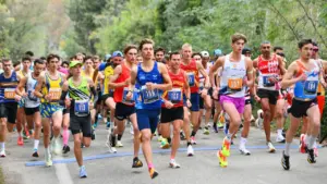 Un groupe de coureurs masculins portant des dossards numérotés lors d'une course sur route.