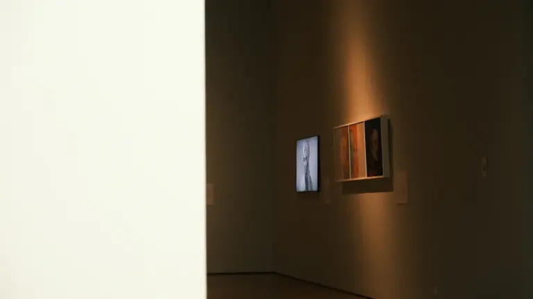 Draguignan : deux expositions gratuites à voir au Pôle Chabran