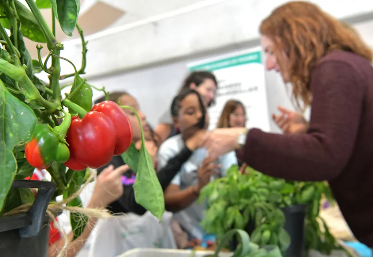 Semaine du Goût à Marseille : 350 élèves vont goûter au terroir