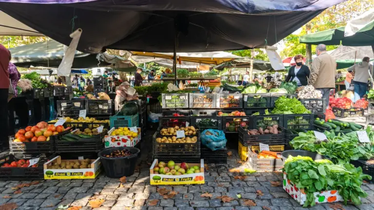 Semaine italienne à Avignon : le marché du Palais des Papes ouvre le 7 octobre