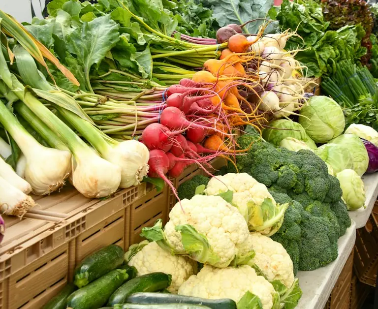 Avignon : le marché fermier des Célestins ouvre vendredi