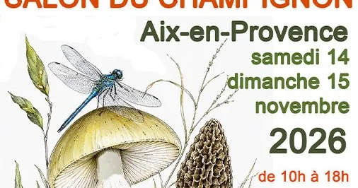 Champignons à Aix : deux jours gratuits pour éviter les confusions