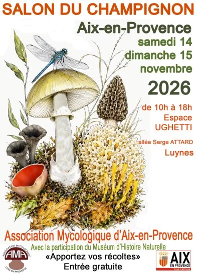 Champignons à Aix : deux jours gratuits pour éviter les confusions